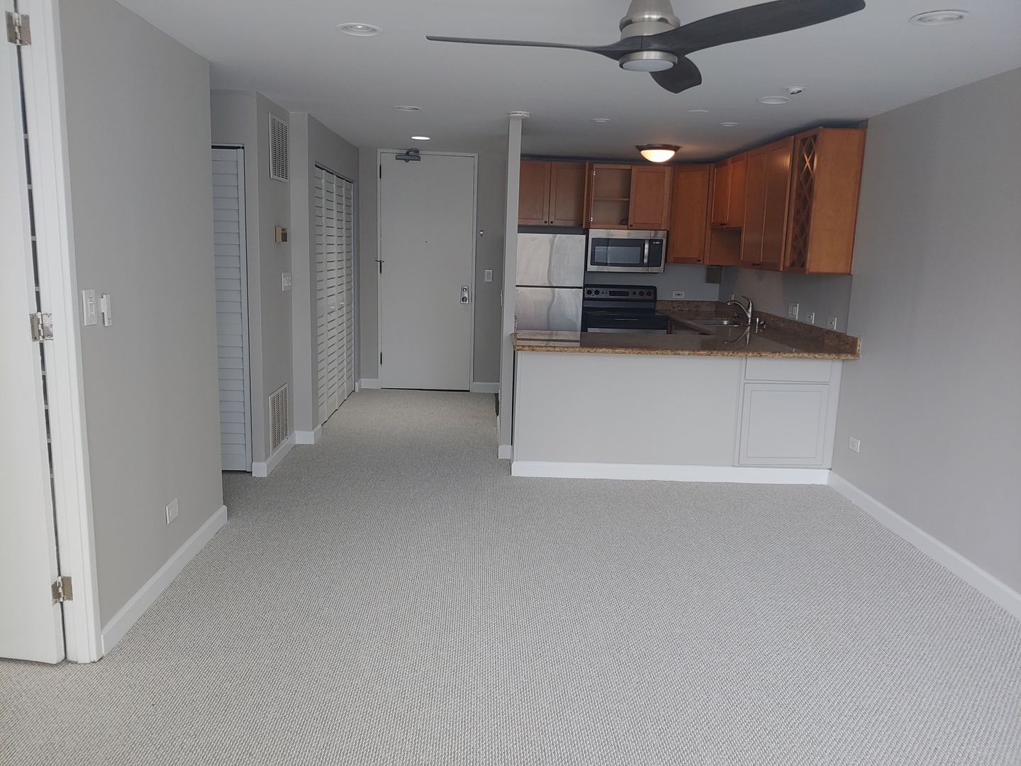 233 E Erie Street 2409