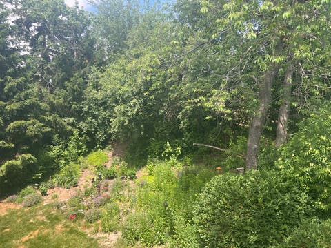 Tiny photo for 23 Creekside Circle #D, Elgin, IL 60123 (MLS # 12676578)
