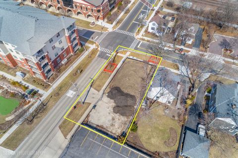 Tiny photo for 451 Duane Street, Glen Ellyn, IL 60137 (MLS # 12311530)