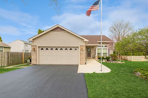 1196 Starwood Pass Lake In The Hills IL 60156