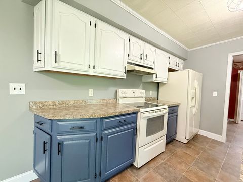 Tiny photo for 106 Il Route 1 N, Cave In Rock, IL 62919 (MLS # 12629945)