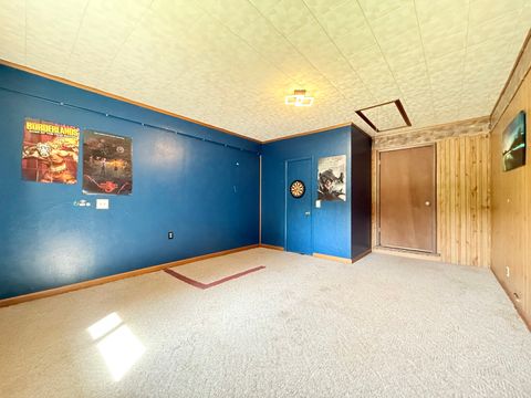 Tiny photo for 106 Il Route 1 N, Cave In Rock, IL 62919 (MLS # 12629945)