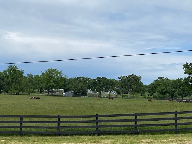 Lot 56 Beverly Way