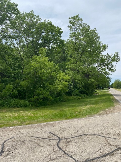 Lot 56 Beverly Way