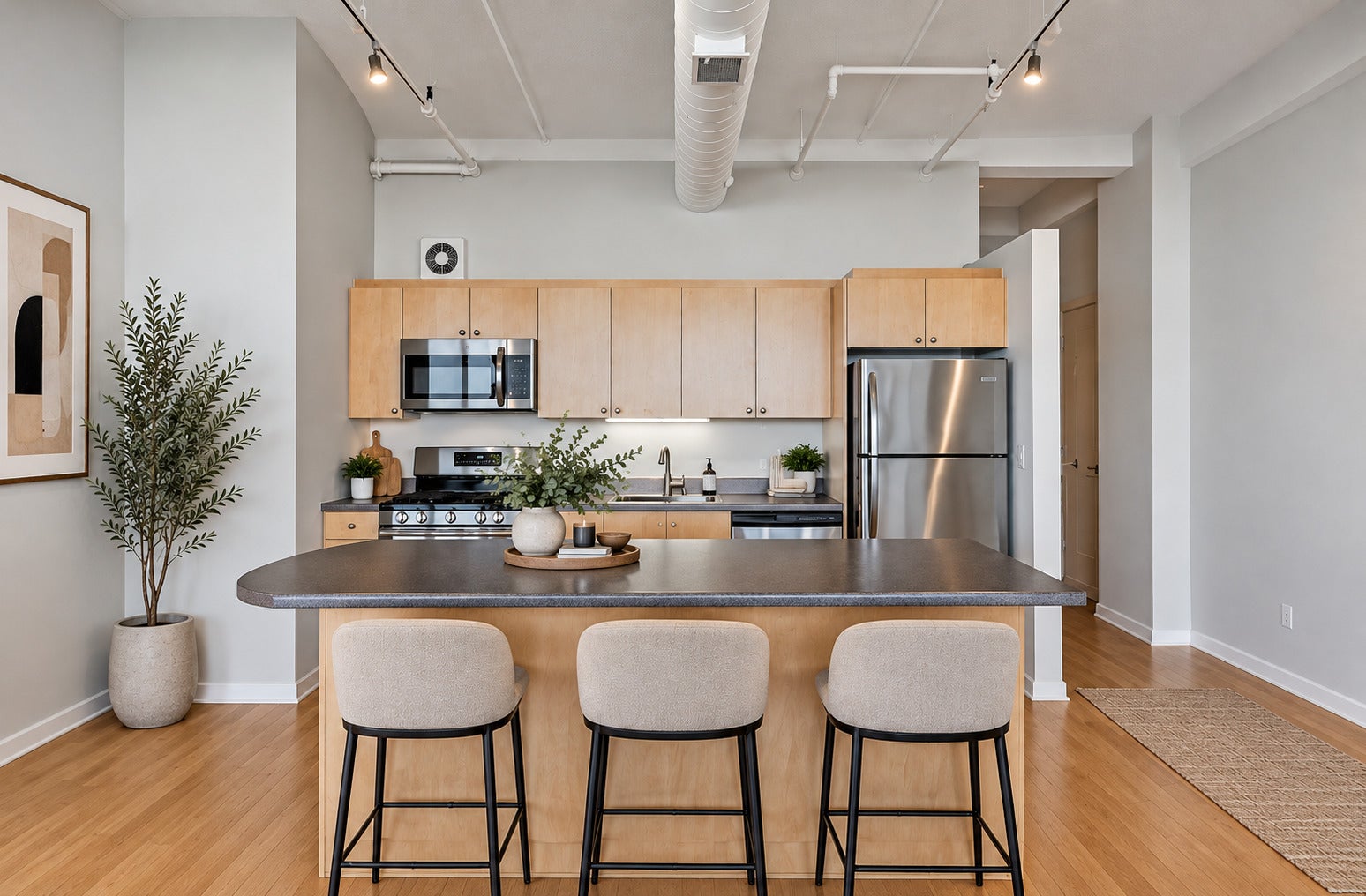 633 S PLYMOUTH Court 1207