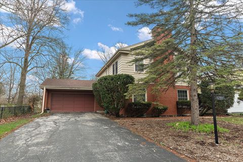Tiny photo for 809 Elm Street, Flossmoor, IL 60422 (MLS # 12562291)