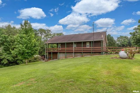 Tiny photo for 5341 N Lick Creek Road, Carbondale, IL 62902 (MLS # EB458926)