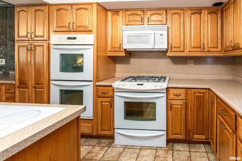 Tiny photo for 5341 N Lick Creek Road, Carbondale, IL 62902 (MLS # EB458926)