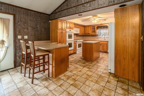 Tiny photo for 5341 N Lick Creek Road, Carbondale, IL 62902 (MLS # EB458926)