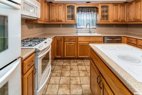 Tiny photo for 5341 N Lick Creek Road, Carbondale, IL 62902 (MLS # EB458926)