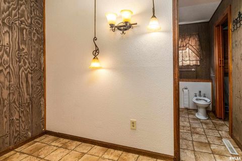 Tiny photo for 5341 N Lick Creek Road, Carbondale, IL 62902 (MLS # EB458926)