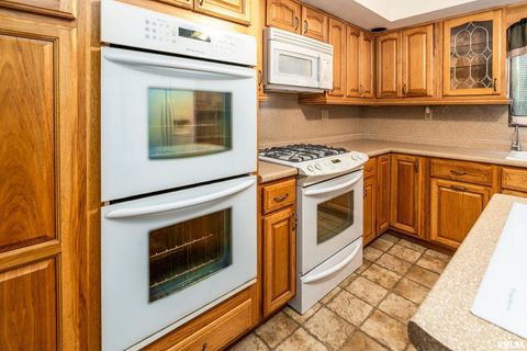 Tiny photo for 5341 N Lick Creek Road, Carbondale, IL 62902 (MLS # EB458926)