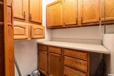 Tiny photo for 5341 N Lick Creek Road, Carbondale, IL 62902 (MLS # EB458926)