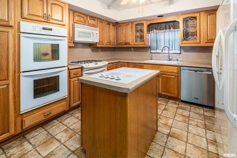 Tiny photo for 5341 N Lick Creek Road, Carbondale, IL 62902 (MLS # EB458926)