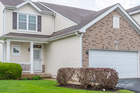 Tiny photo for 4004 Shoeger Court, Yorkville, IL 60560 (MLS # 12453844)
