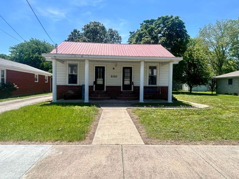 Photo of 230 E 3rd Street, Brookport, IL 62910 (MLS # 12637738)