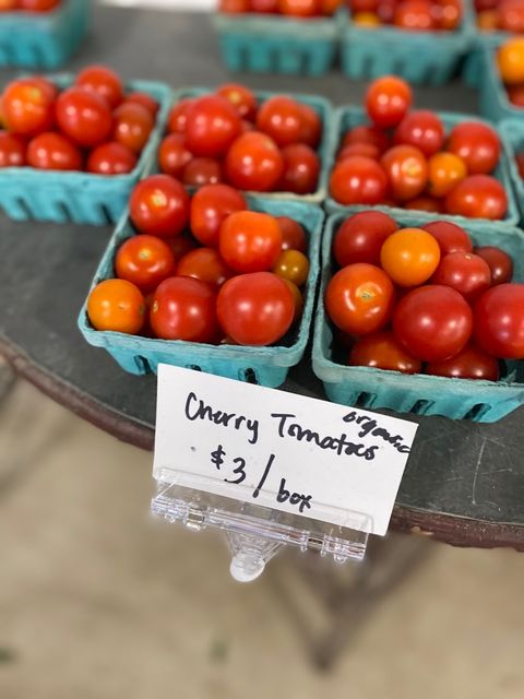 Tiny photo for 1007 Harris Road, Grayslake, IL 60030 (MLS # 12558702)