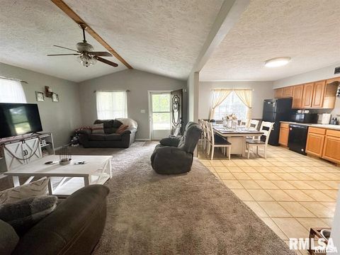 Tiny photo for 900 W 4TH Street, Johnston City, IL 62951 (MLS # EB460728)