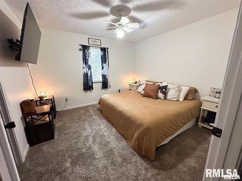 Tiny photo for 900 W 4TH Street, Johnston City, IL 62951 (MLS # EB460728)