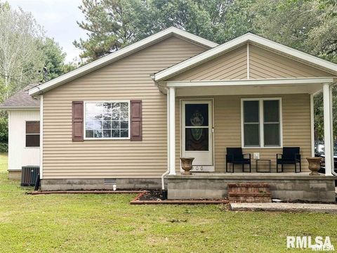 Photo of 900 W 4TH Street, Johnston City, IL 62951 (MLS # EB460728)