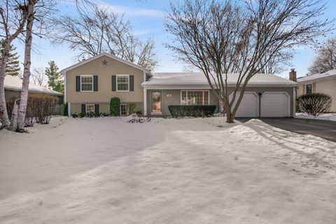 Photo of 1342 Chillem Drive, Batavia, IL 60510 (MLS # 12530125)