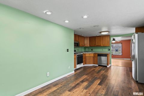 Tiny photo for 220 E WILCOX Street, Springfield, IL 62707 (MLS # QC4268641)