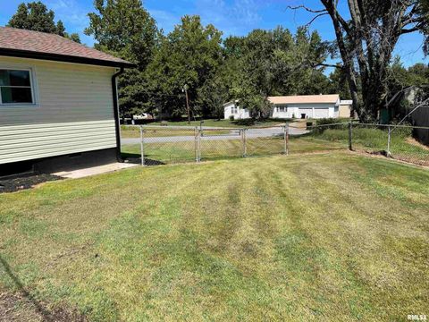 Tiny photo for 319 LINDSEY Street, Metropolis, IL 62960 (MLS # EB459554)