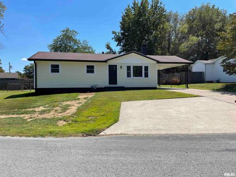 Tiny photo for 319 LINDSEY Street, Metropolis, IL 62960 (MLS # EB459554)