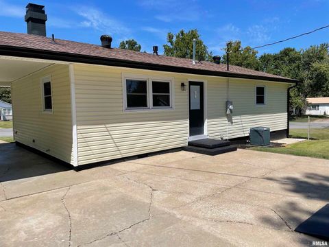 Tiny photo for 319 LINDSEY Street, Metropolis, IL 62960 (MLS # EB459554)