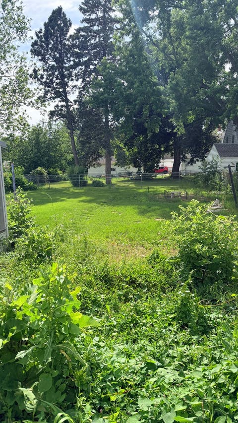 Tiny photo for 4 S Mulberry Avenue, Mount Morris, IL 61054 (MLS # 12679071)