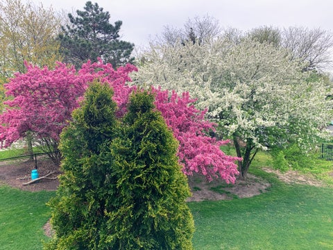 Tiny photo for 129 N Windsor Circle, Bloomingdale, IL 60108 (MLS # 12659982)