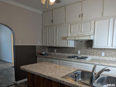 Tiny photo for 405 S STATE Street, Christopher, IL 62822 (MLS # EB460210)