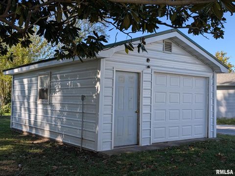Tiny photo for 405 S STATE Street, Christopher, IL 62822 (MLS # EB460210)
