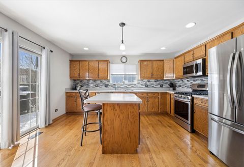 Tiny photo for 25801 S Sunrise Court, Monee, IL 60449 (MLS # 12594207)