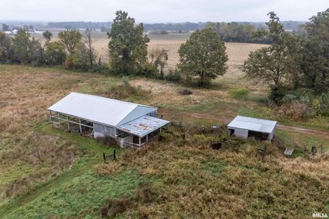 Tiny photo for 365 BOND Road, Galatia, IL 62935 (MLS # EB460363)