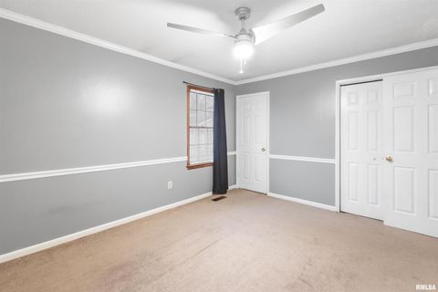 Tiny photo for 1200 ACADEMY Street, Eldorado, IL 62930 (MLS # EB460535)