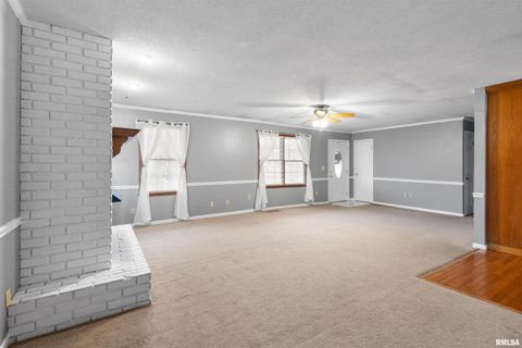 Tiny photo for 1200 ACADEMY Street, Eldorado, IL 62930 (MLS # EB460535)