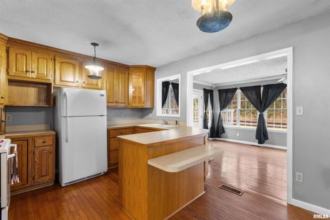 Tiny photo for 1200 ACADEMY Street, Eldorado, IL 62930 (MLS # EB460535)