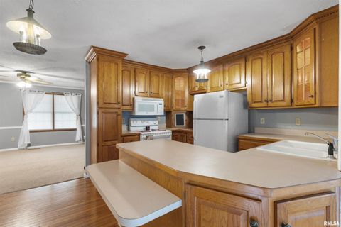 Tiny photo for 1200 ACADEMY Street, Eldorado, IL 62930 (MLS # EB460535)