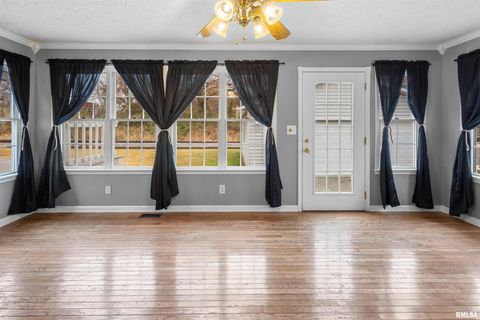 Tiny photo for 1200 ACADEMY Street, Eldorado, IL 62930 (MLS # EB460535)