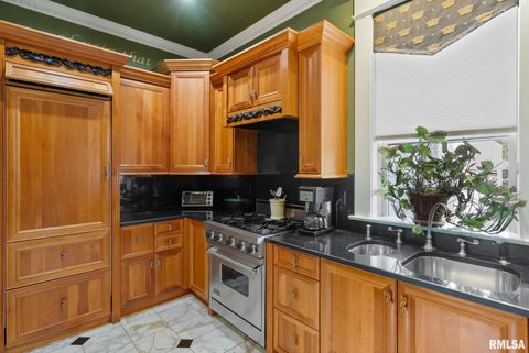 Tiny photo for 1446 CLAY Street, Davenport, IA 52804 (MLS # QC4269604)