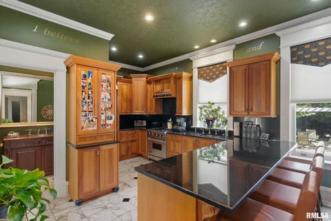 Tiny photo for 1446 CLAY Street, Davenport, IA 52804 (MLS # QC4269604)