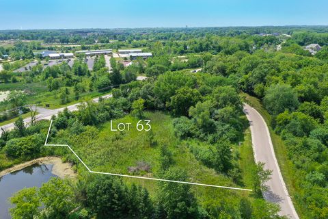 4595 Patricia Drive Long Grove IL 60047