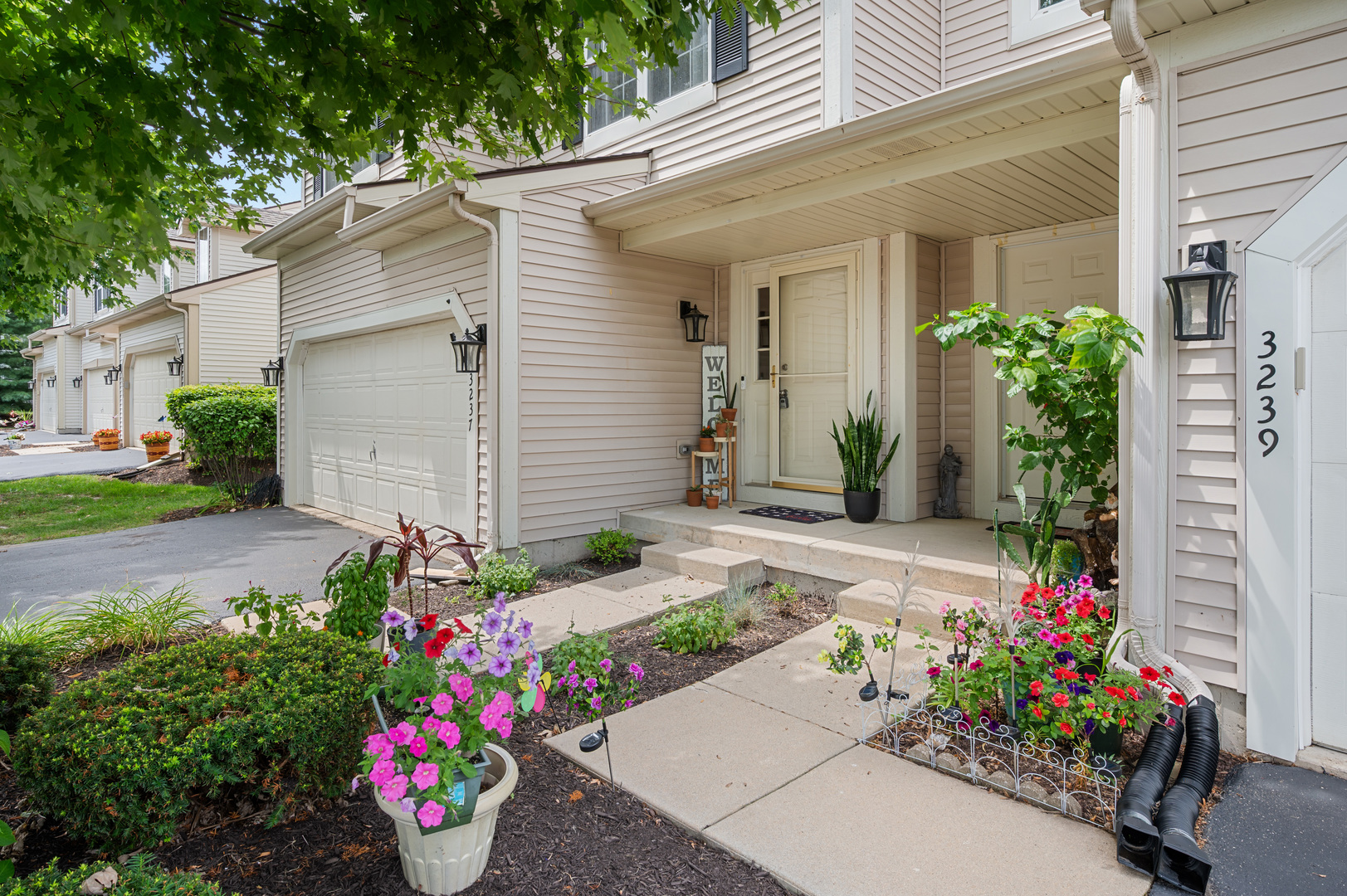 3237 Wineberry Drive