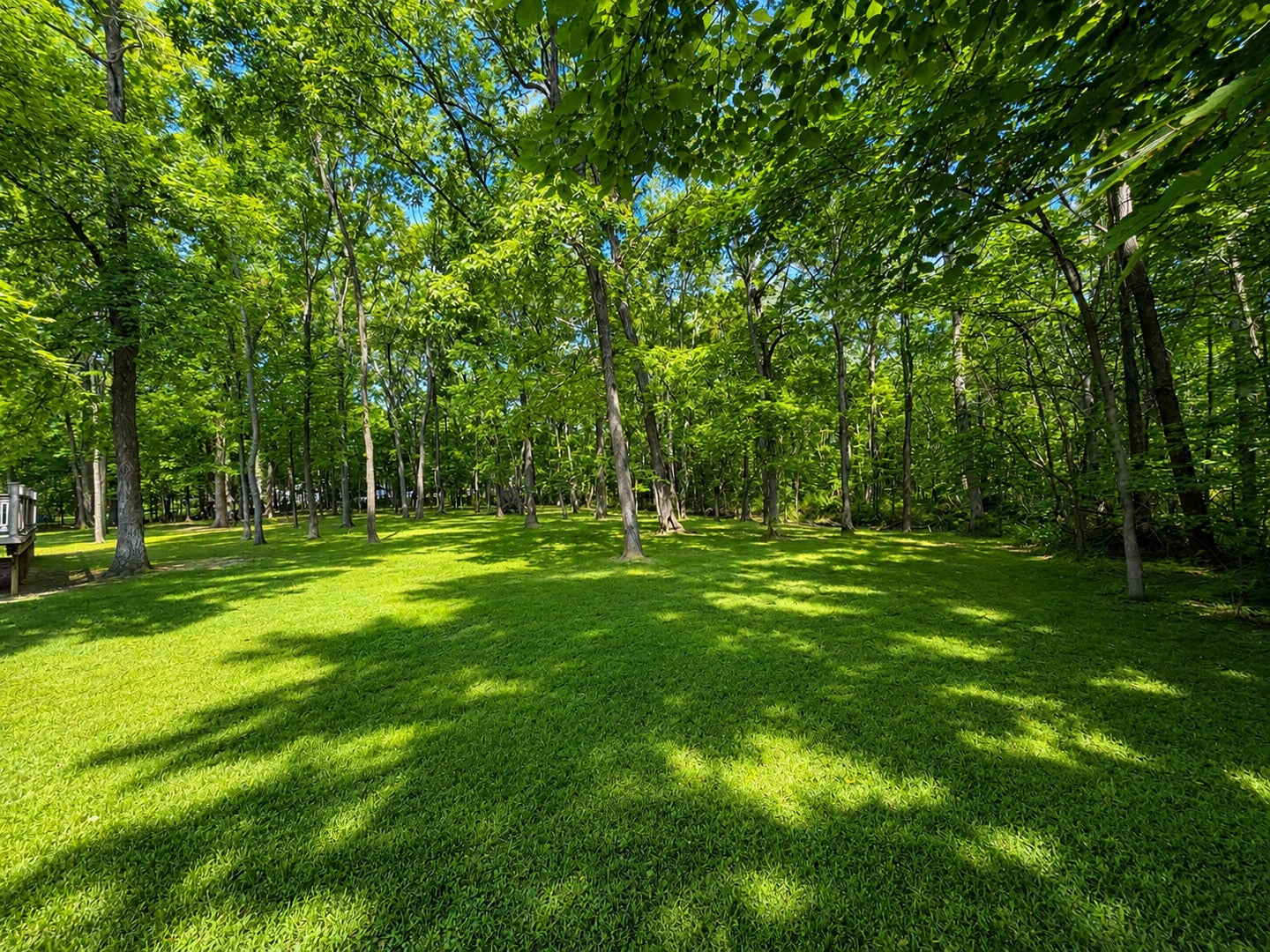 4241 Sandy Branch Road