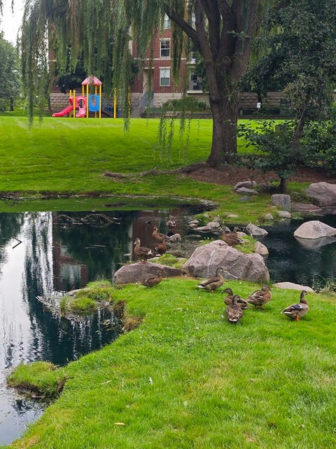 Tiny photo for 723 Prestwick Lane, Wheeling, IL 60090 (MLS # 12642089)