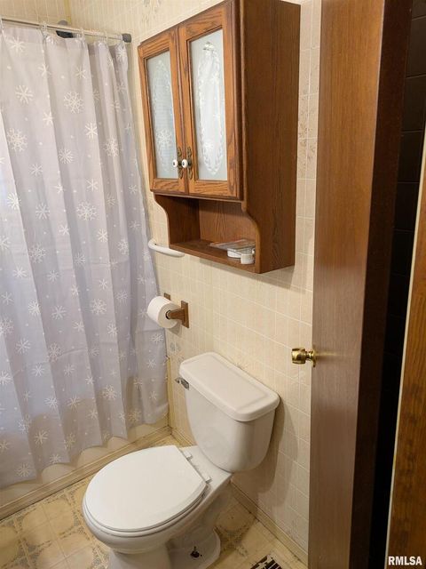 Tiny photo for 1205 Burgess Avenue, JohnstonCy, IL 62951 (MLS # EB458483)