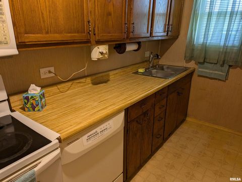 Tiny photo for 1205 Burgess Avenue, JohnstonCy, IL 62951 (MLS # EB458483)