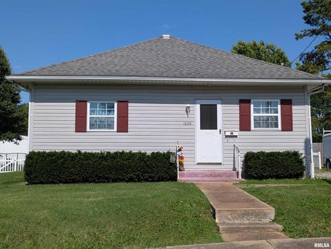 Photo of 1205 Burgess Avenue, JohnstonCy, IL 62951 (MLS # EB458483)