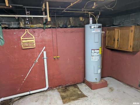 Tiny photo for 1205 Burgess Avenue, JohnstonCy, IL 62951 (MLS # EB458483)